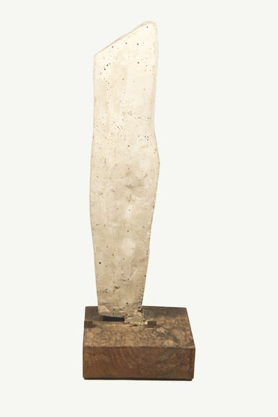 Torso