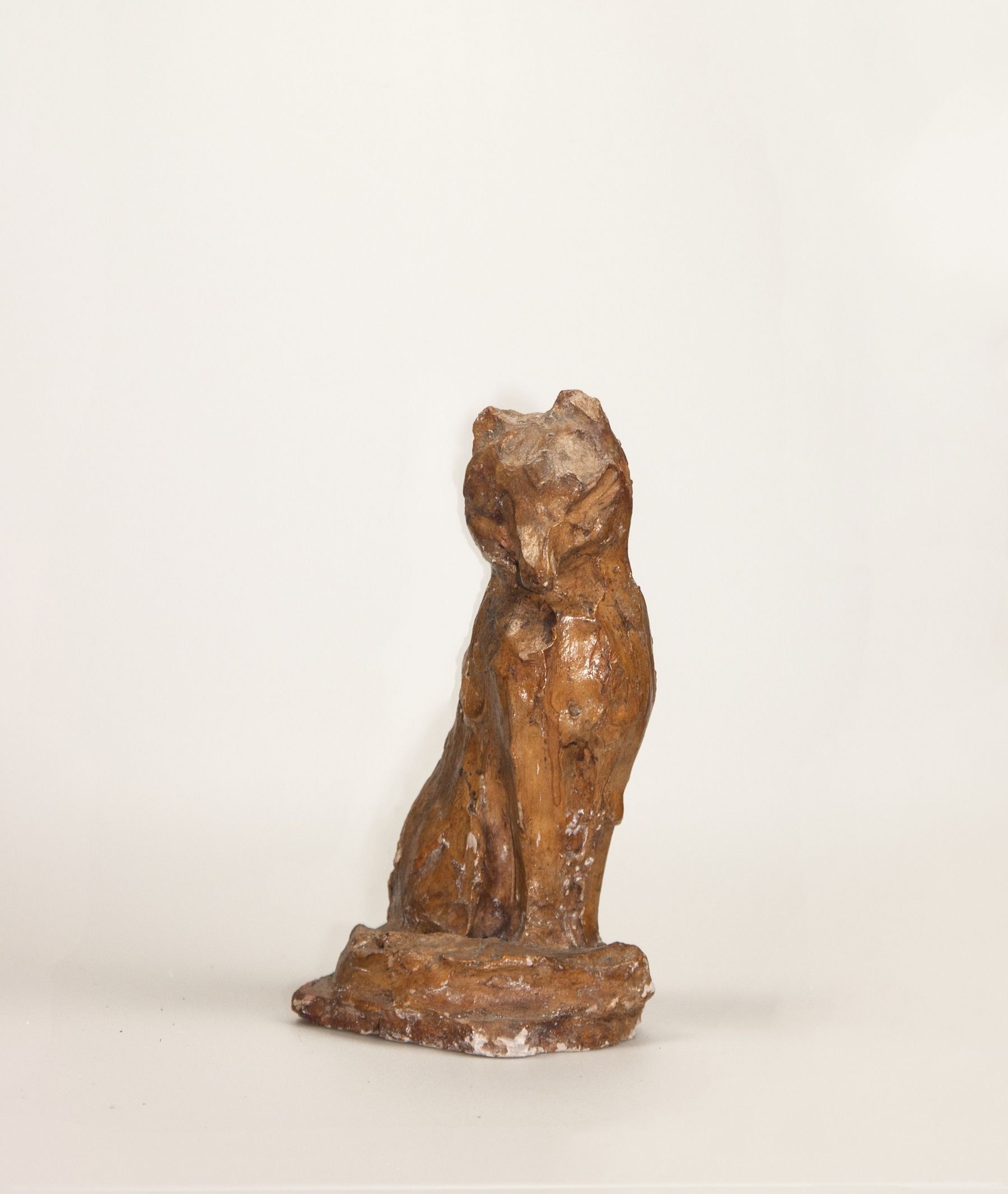 Sitzender Fuchs – 다른 뷰 1