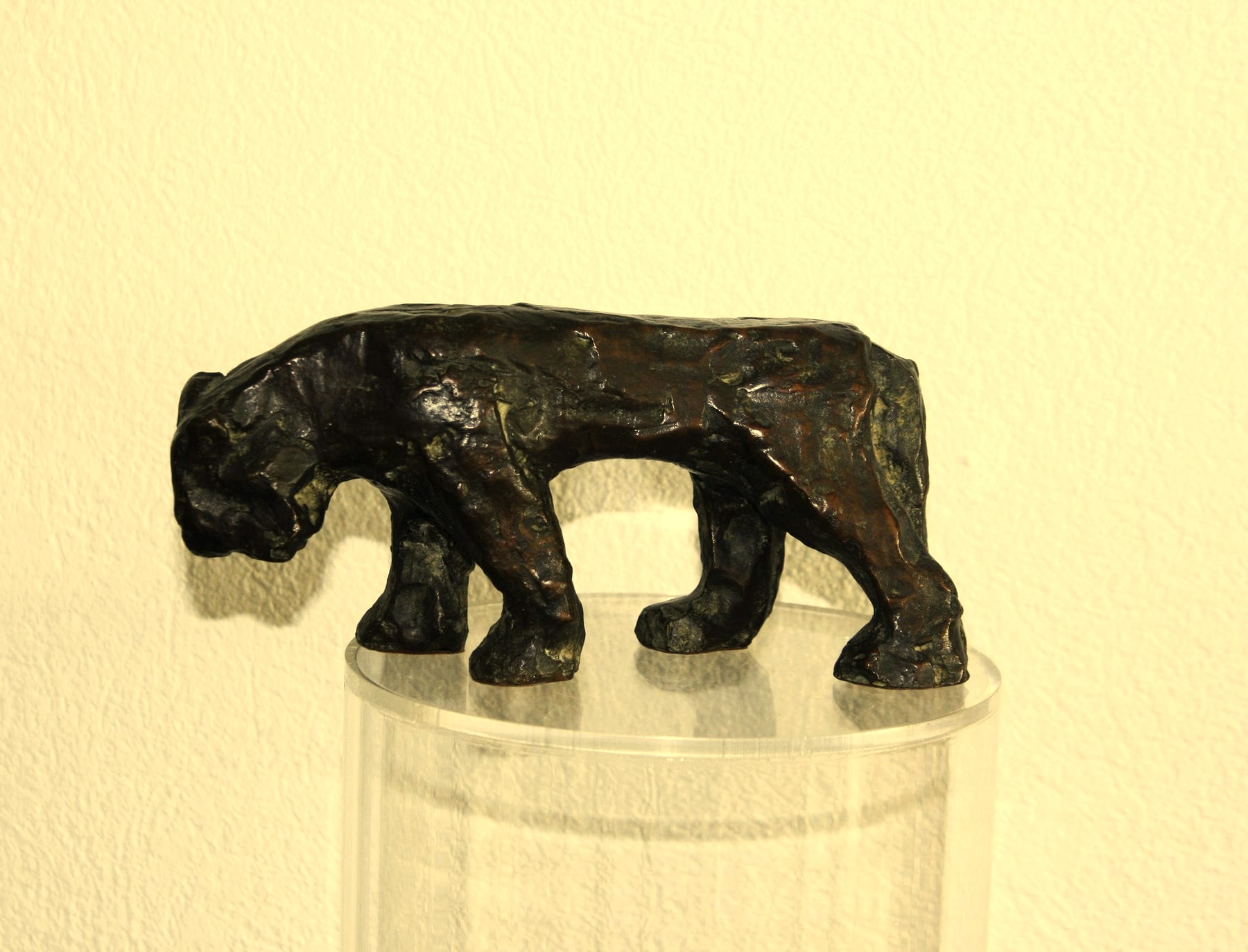 AlterTiger – عروض إضافية 1