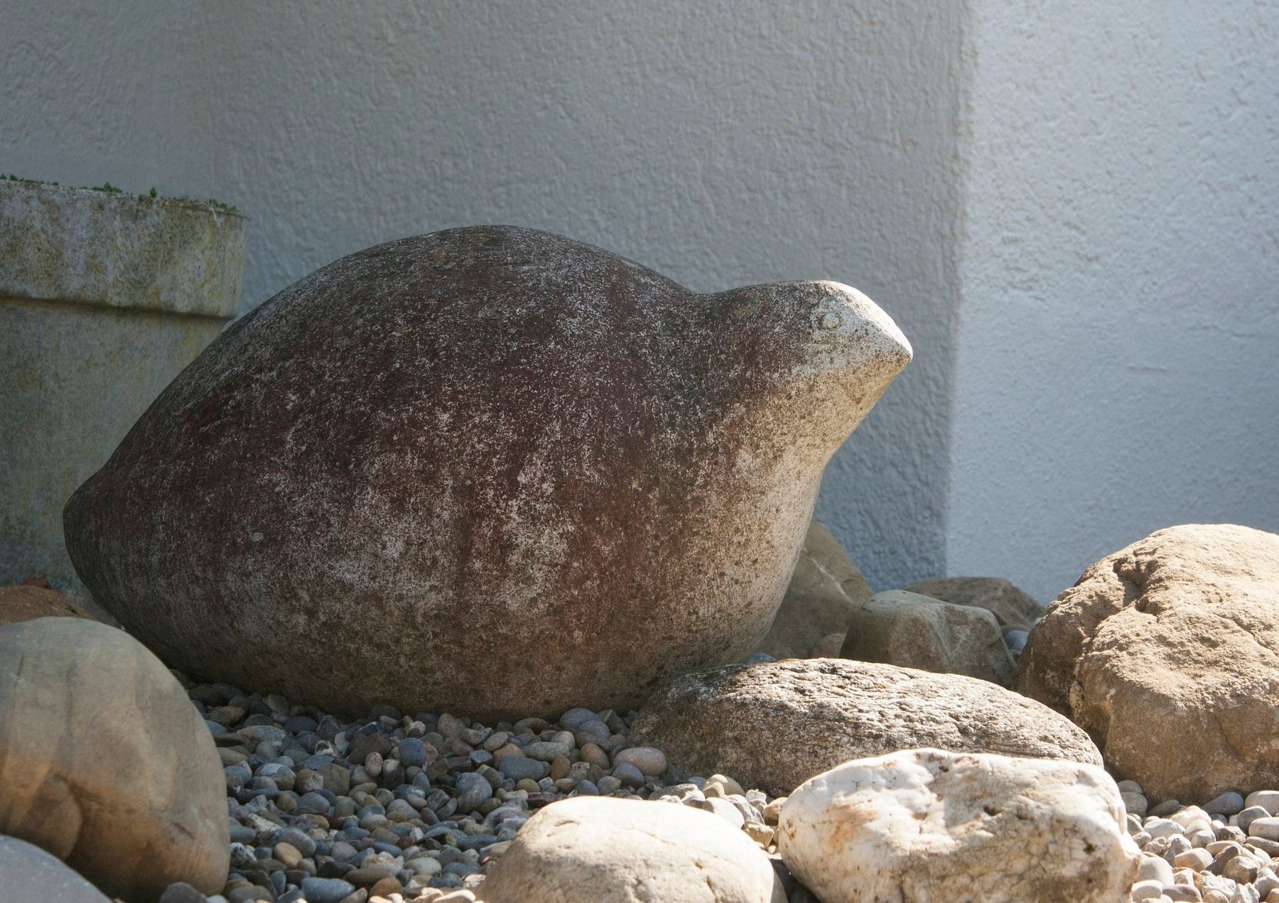 Urhuhn – Weitere Ansichten 1