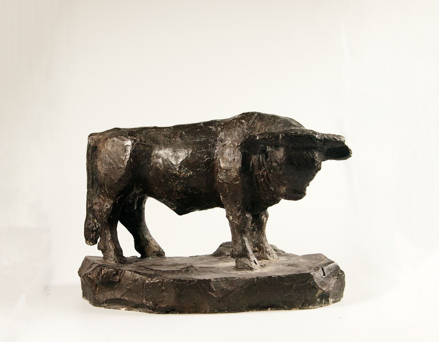 Stier – More views 2