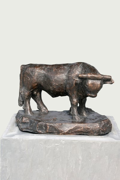 Stier