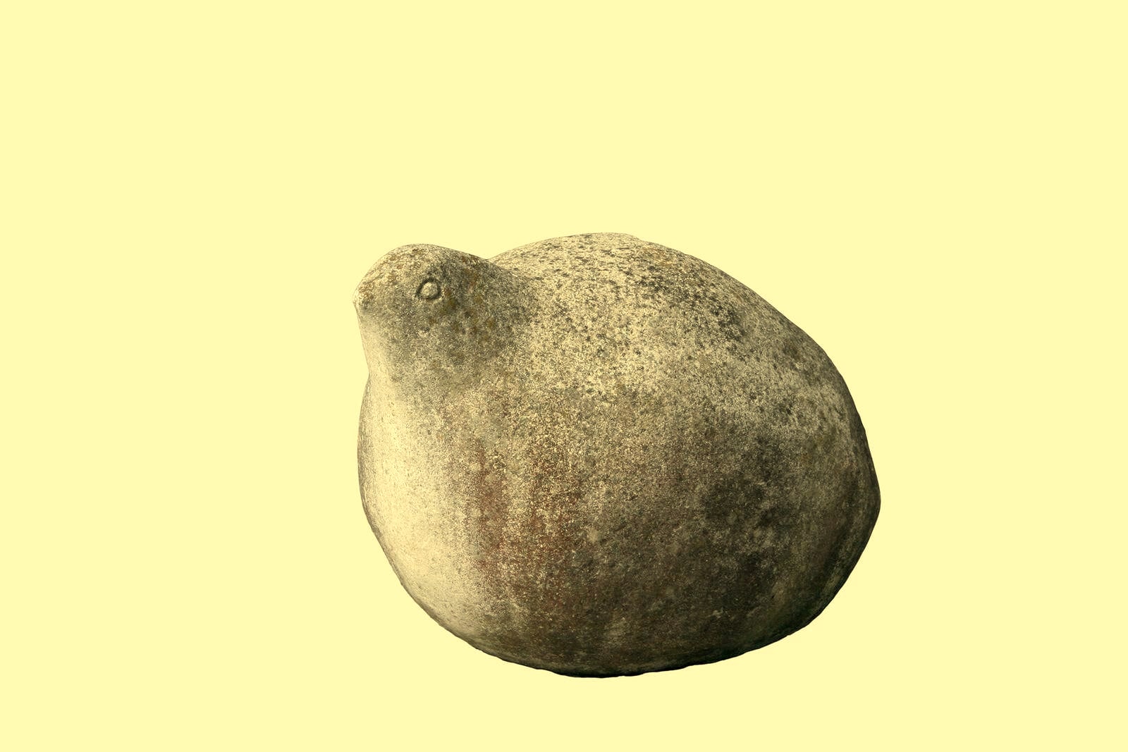 Urhuhn – 更多视图 2